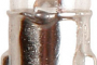 Click Here To Enlarge