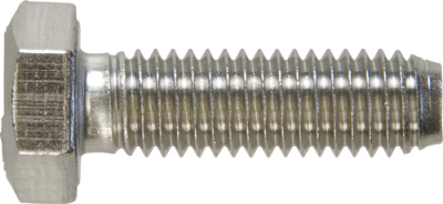 Stainless Steel Set Screws - Metric (HIS1025)