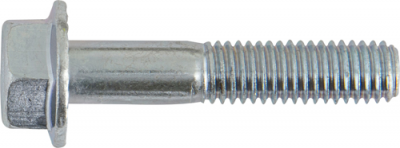 Serrated Flanged Bolts - Metric (HFL840)