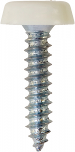 Number Plate Fasteners - Self-Tappers with Plastic Head - Long (NP10)