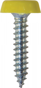 Number Plate Fasteners - Self-Tappers with Plastic Head - Long (NP11)