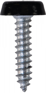 Number Plate Fasteners - Self-Tappers with Plastic Head - Long (NP12)