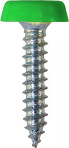 Number Plate Fasteners - Self-Tappers with Plastic Head - Long (NP40)