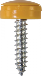 Number Plate Fasteners - Self-Tappers with Hinged Caps (NP4)