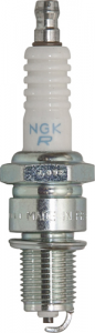NGK Spark Plugs (PG35)