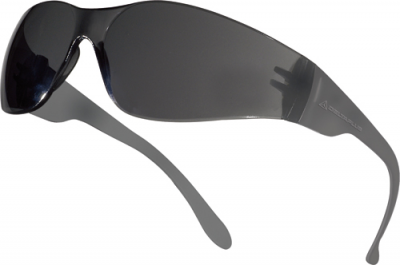 DELTAPLUS Monobloc Single Lens Safety Glasses (WS1495)
