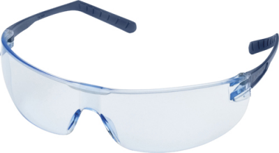 DELTAPLUS Helium Metal Detectable Safety Glasses (WS1550)