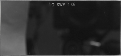 Face Shield Lenses - 4 1/4" x 2" (WS22S)