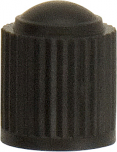 Tyre Valve Caps Plastic (YTY120)